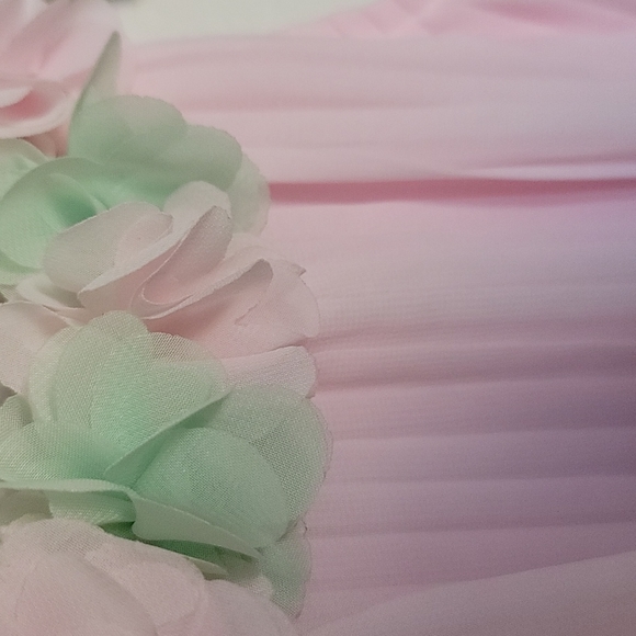 NWT Pleated BB Dress w/flower collar - Picture 3 of 4